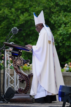 cardinal_sarah_c_herve_mahe.jpeg